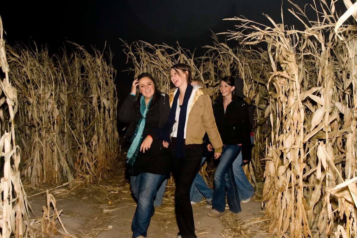Corn Maze Fun at Night - Back Home on the Farm