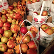 Apples | Go Blue Ridge Travel