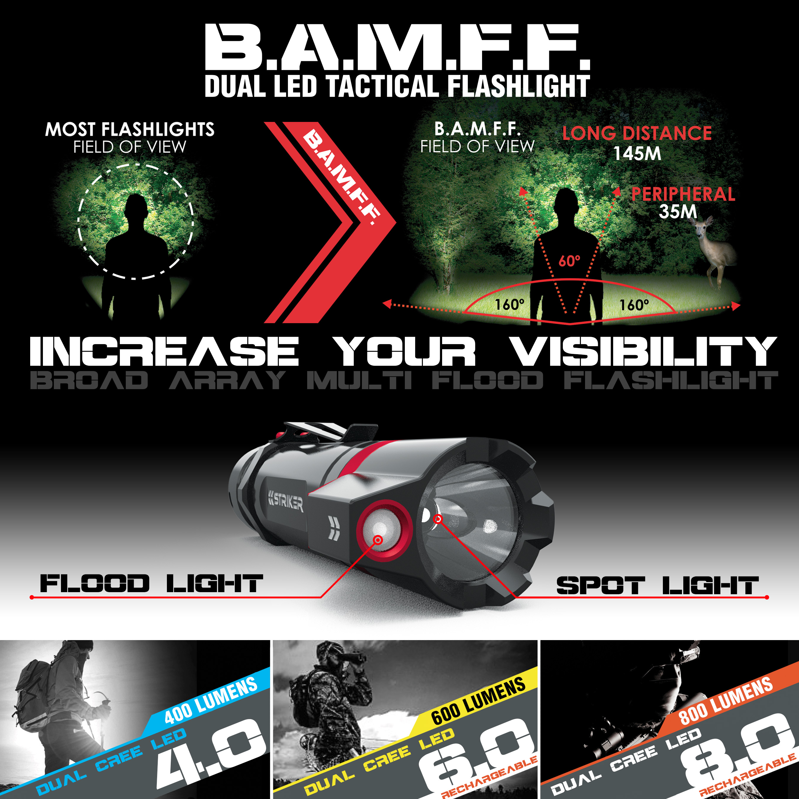 Traditional View vs BAMFF View