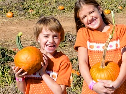 More than mazes, Summers Farm offers pumpkin picking and traditional hayrides and pig races!