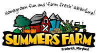 Celebrating its 20th Season, Summers Farm offers pumpkin picking, hayrides, jumping pillow, maze, pig races, barn animals, and more for ages 2-92.