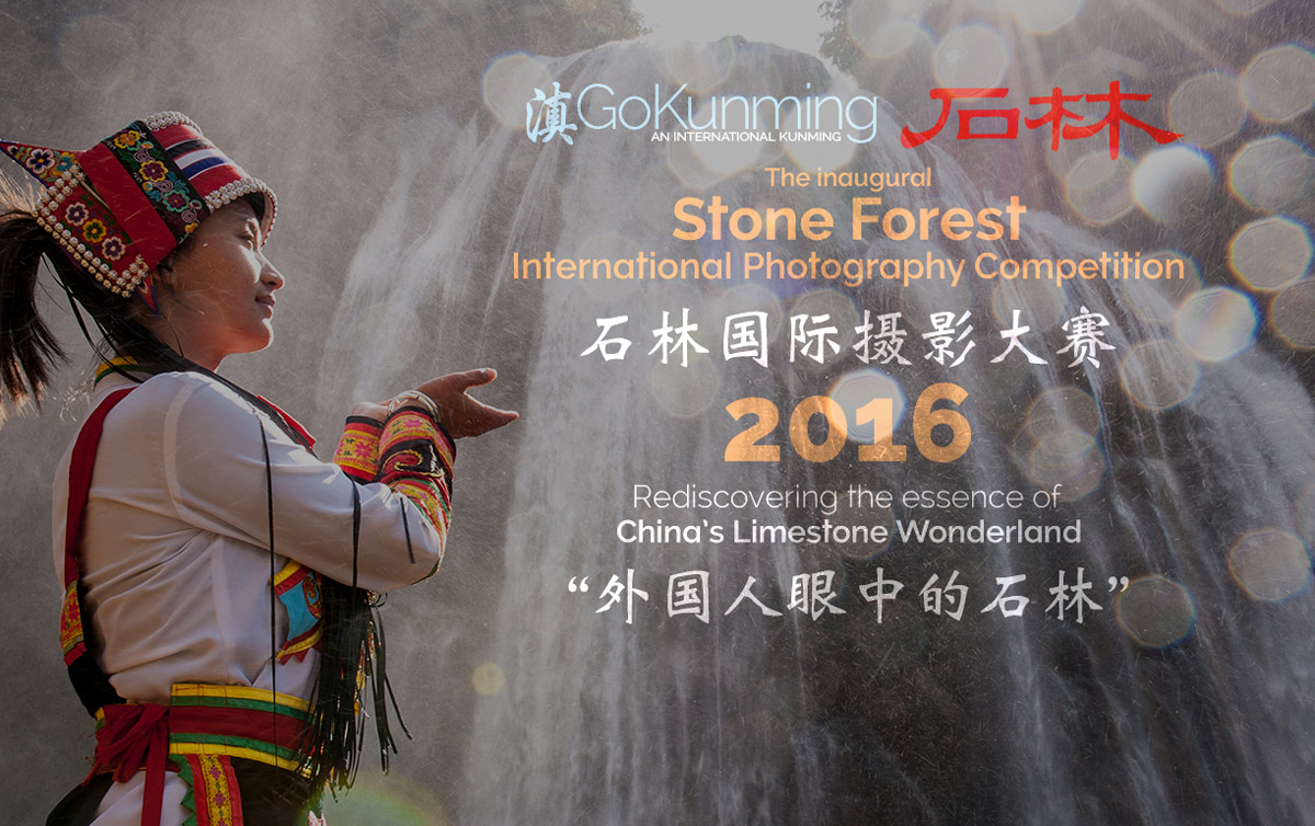 The interactive, user-driven Stone Forest International Photography Competition is open until November 14