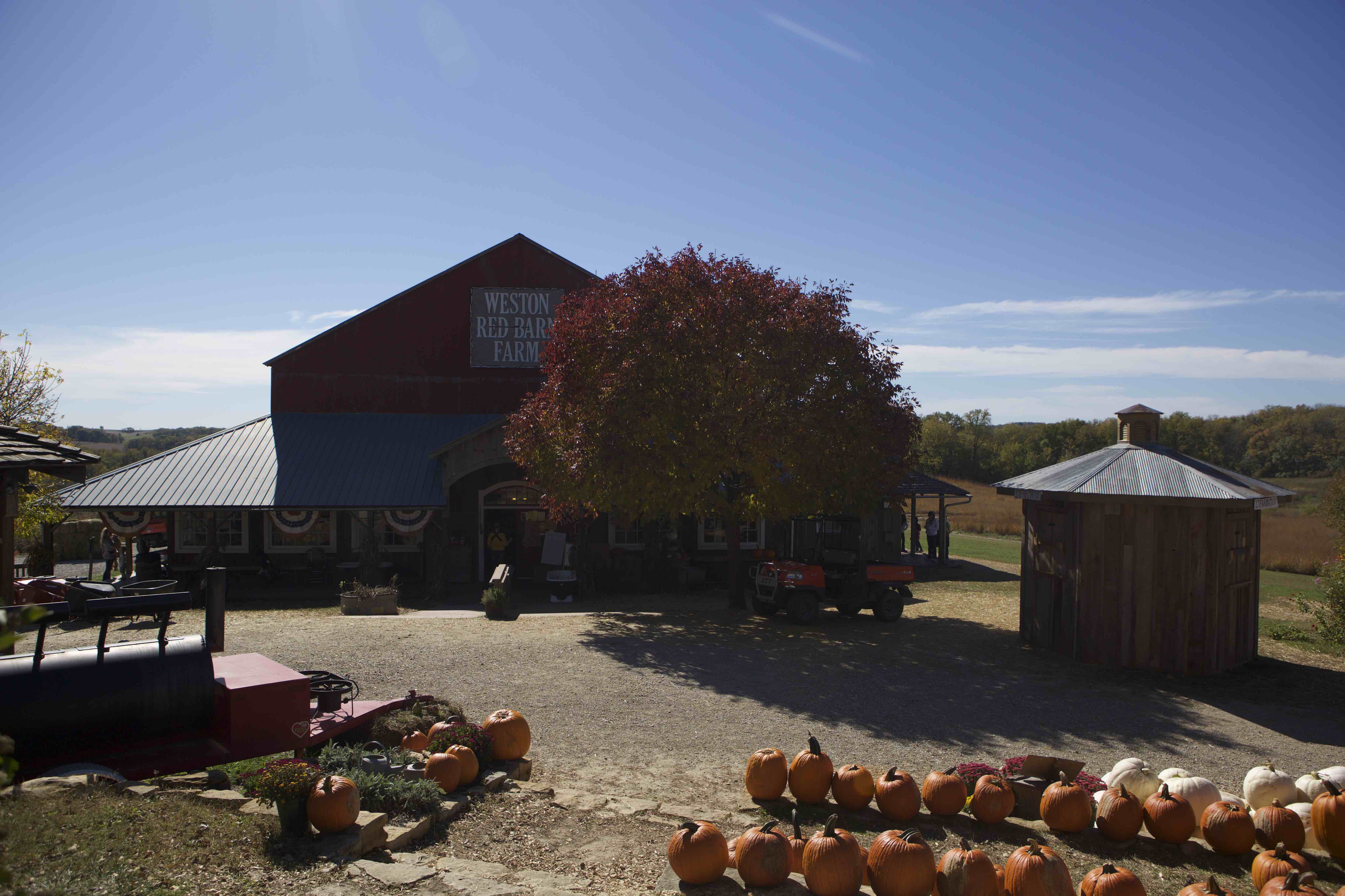 Couples can enjoy a variety of fall activities at Weston Red Barn Farm.