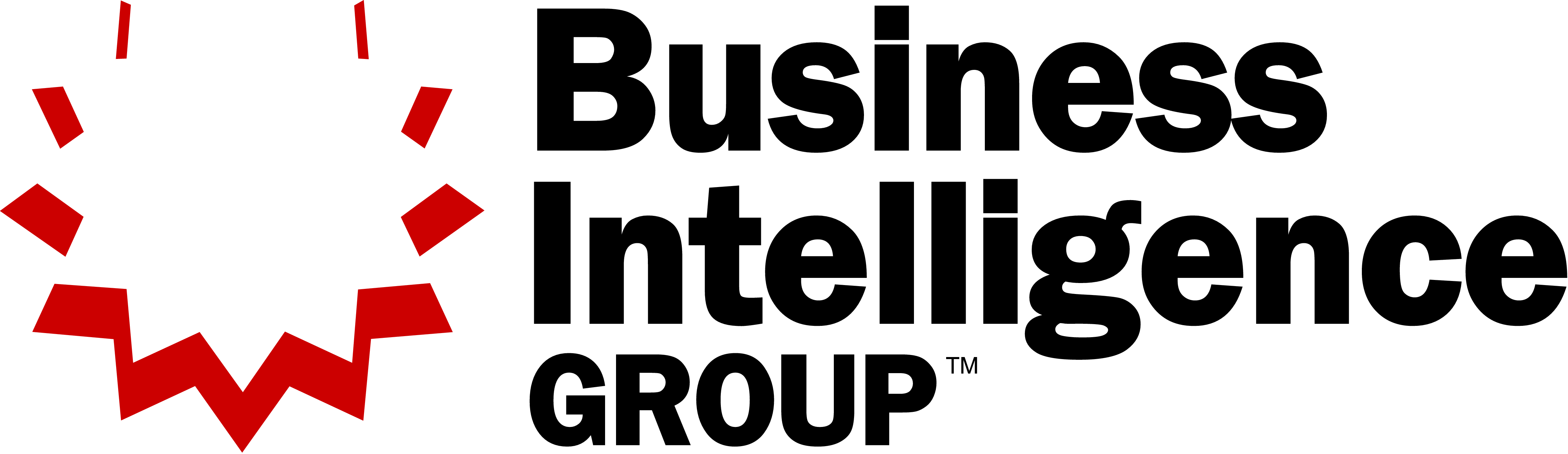 Business Intelligence Group