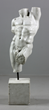 Classical Italian Marble Sculpture of Male Torso
