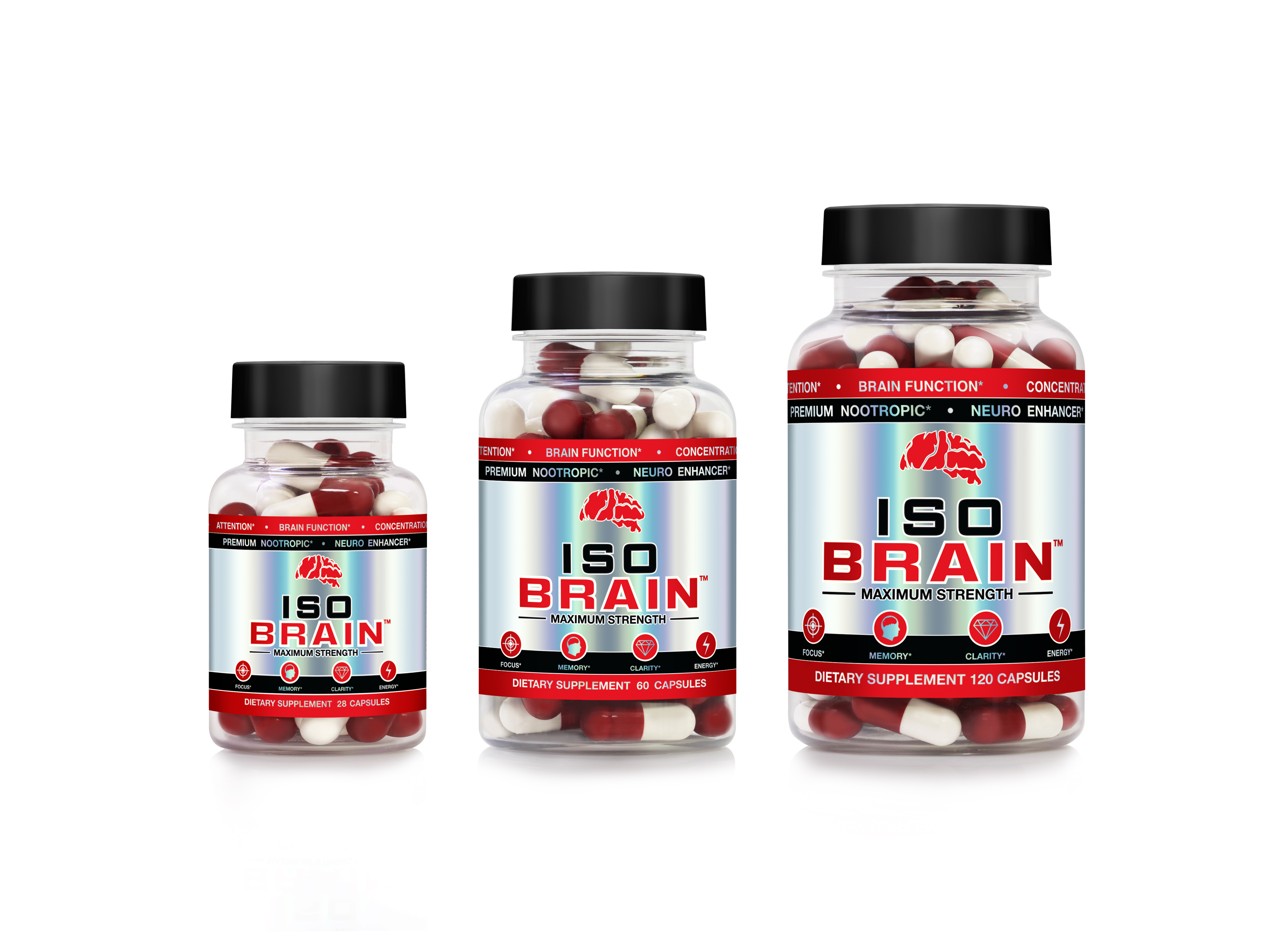 ISO BRAIN sizes to choose from