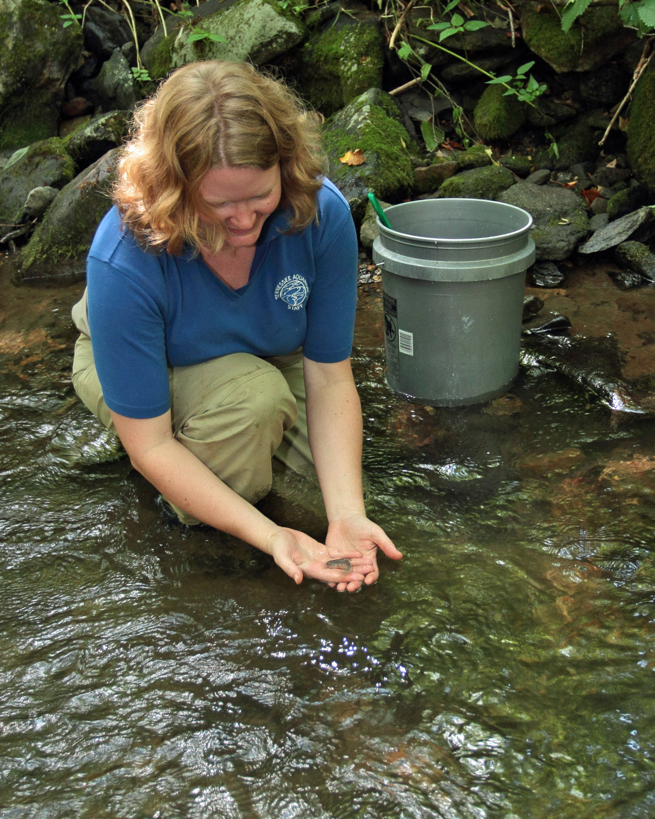 Dr. Anna George releases a Southern Appalachian Brook Trout credit Todd Stailey TN Aquarium