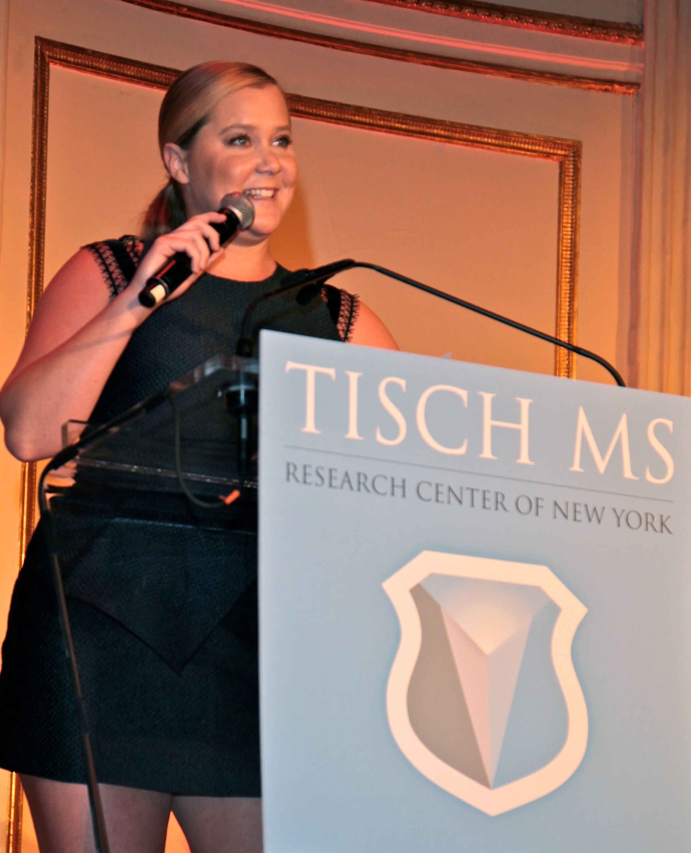Amy Schumer Speaking at Tisch MS Research Center of New York's, 2016 Future Without MS Gala