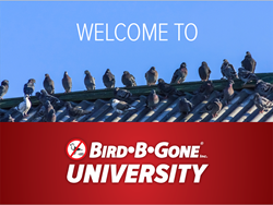 Welcome to Bird B Gone University