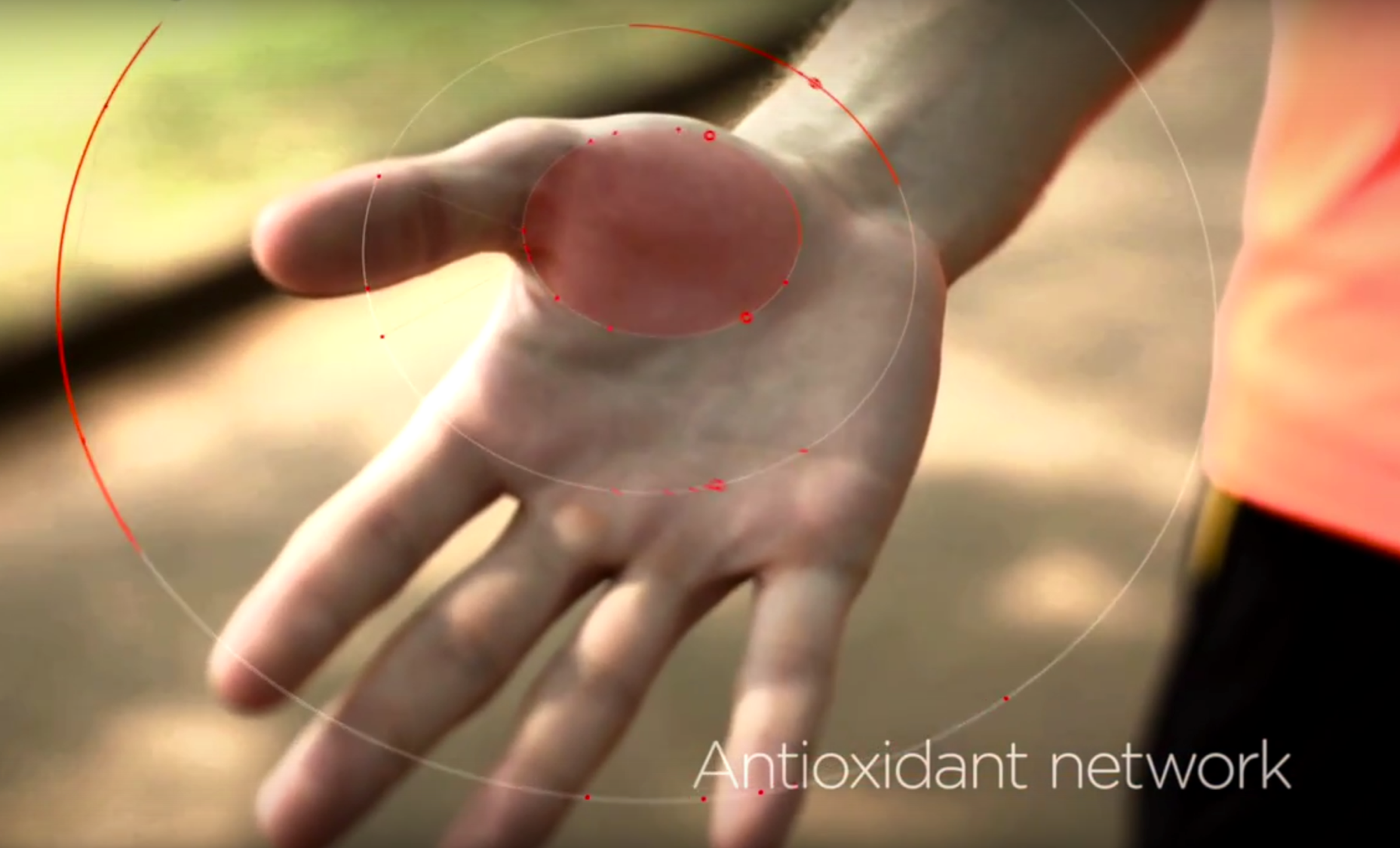One X Sensor Palm Network of Antioxidants