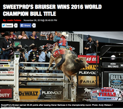 D&H Cattle Company's SweetPro's Bruiser with Dener Barbosa riding in the 2016 PBR championship round.
