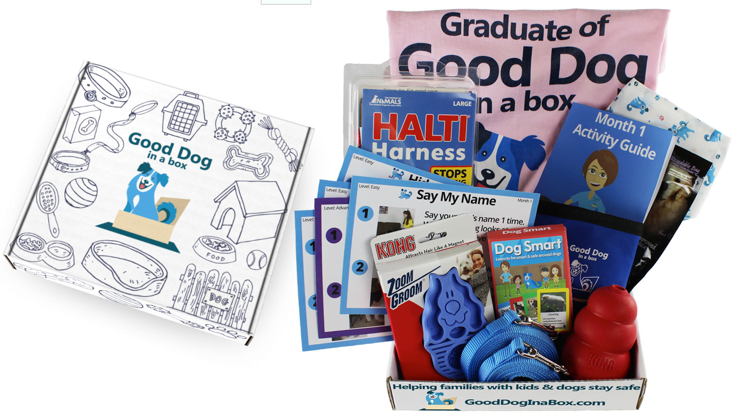 Kids can decorate Good Dog in a Box mailer carton and enter it in monthly online contests.