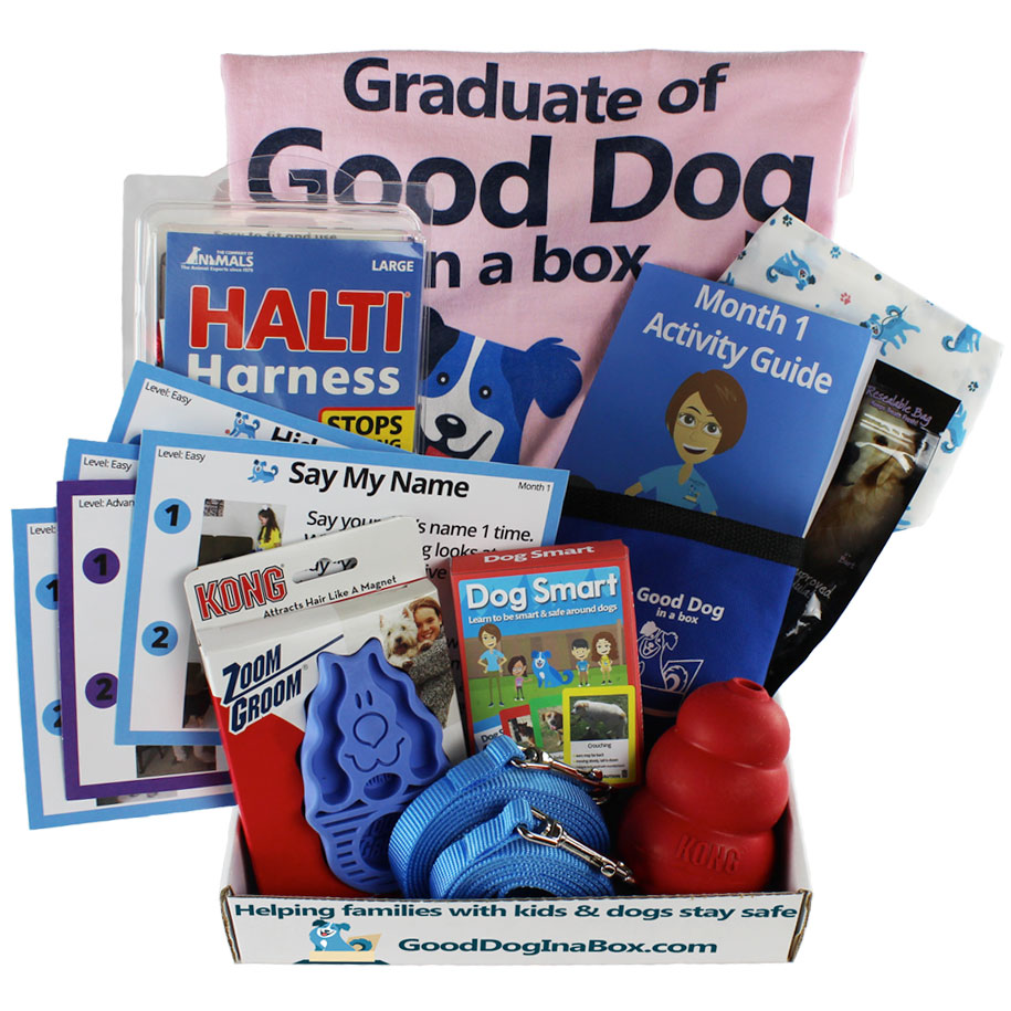 Good Dog in a Box not only delivers family friendly dog training products to your home monthly, but also your computer.