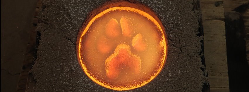 Hot Paws Casting in Molten Glass
