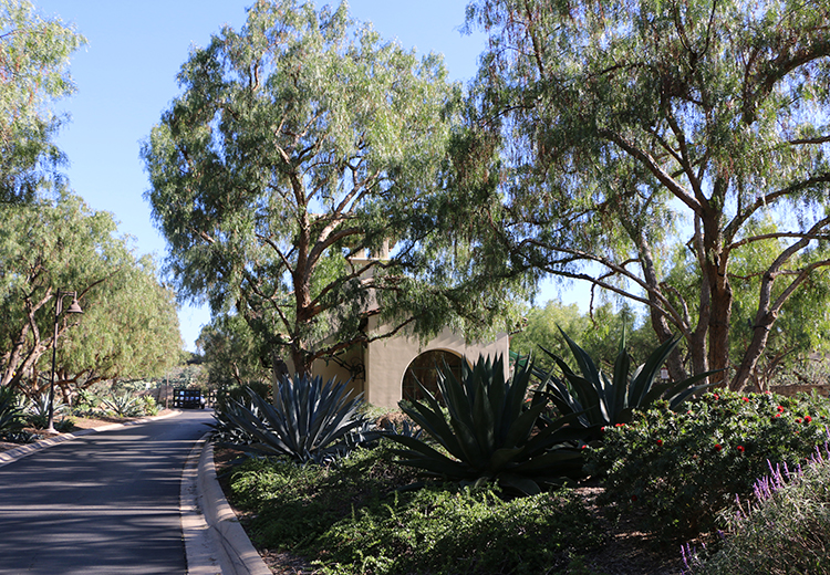 Shady Canyon gate