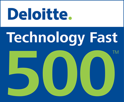 Deloitte Fast 500 Technology Companies