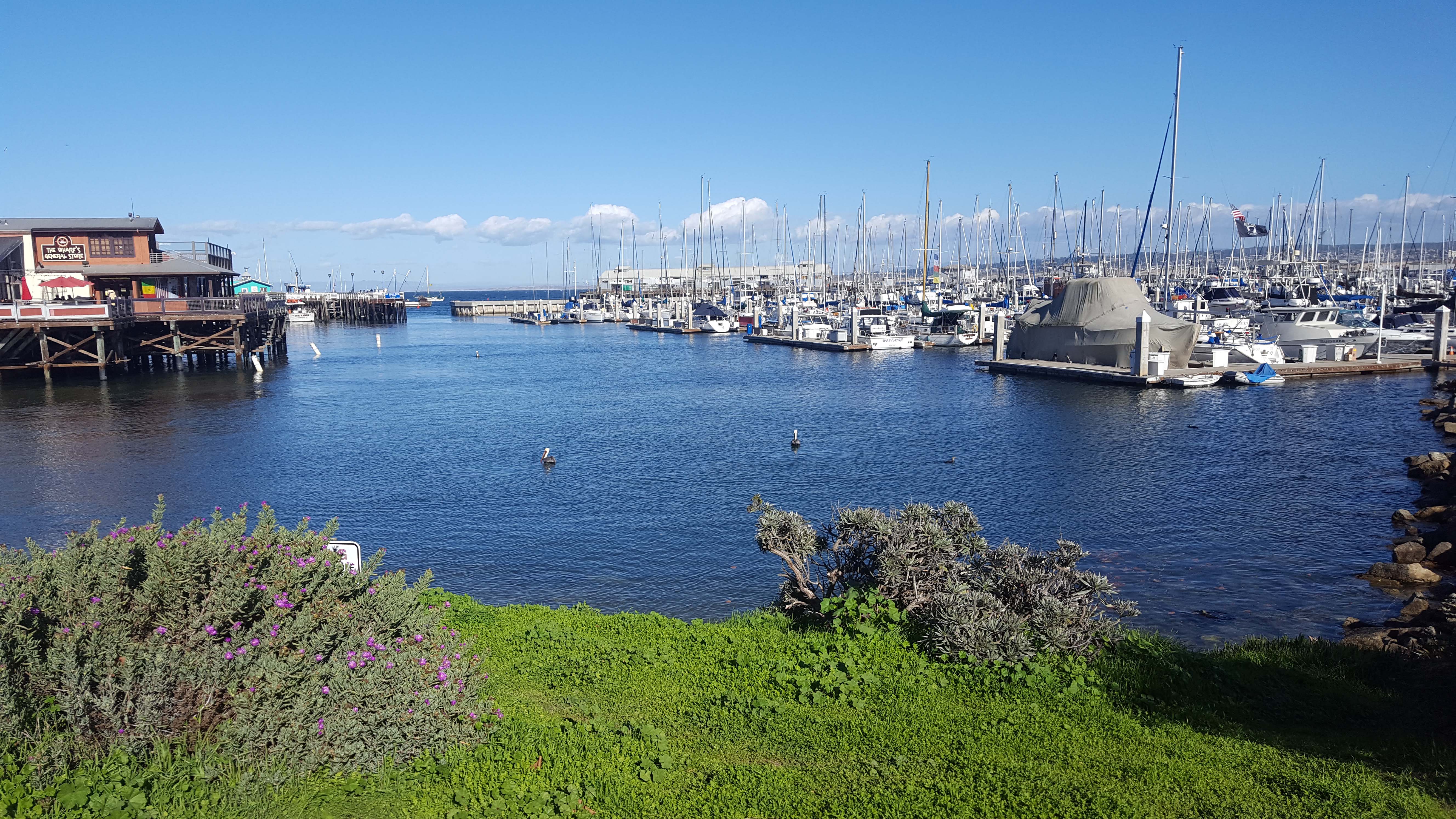Monterey's Old Fisherman's Wharf