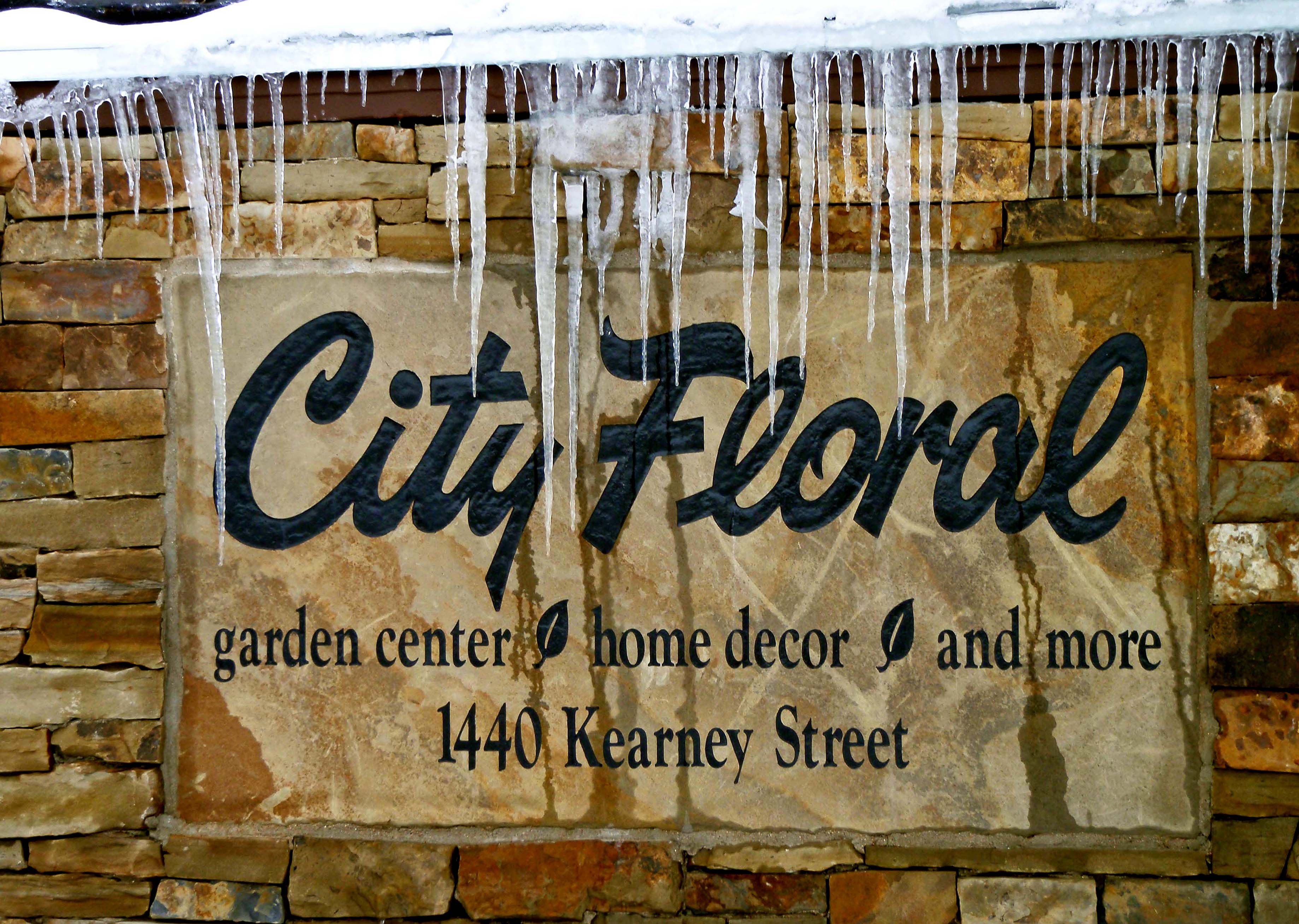 City Floral Garden Center, located at 1440 Kearney Street, is home to one of the largest, fresh-cut Christmas tree lots in the Denver area.