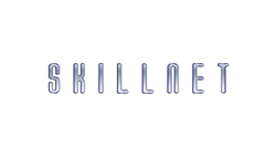 Logo-SkillNet Solutions