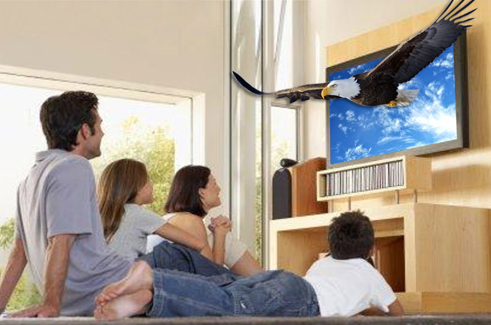 Glassse-Free 3D Television