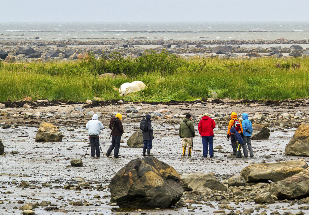 Guests and polar bear at Seal River Heritage Lodge. Didrik Jonck photo.