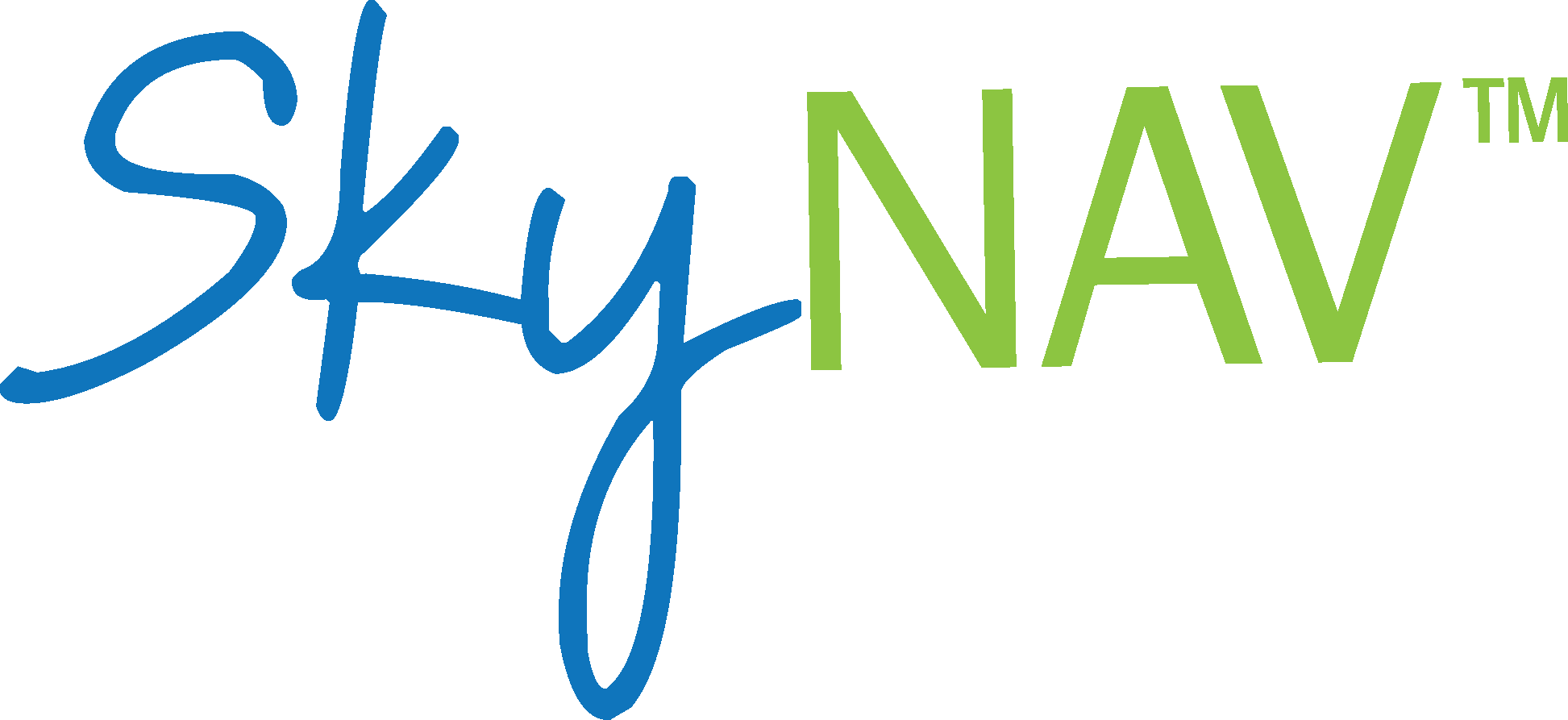 SkyNav Logo