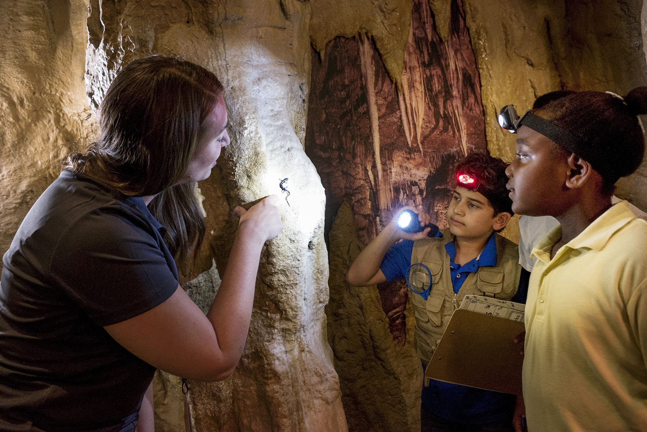 The children went to the museums. The Cave ребенок. Dinosphere Gallery at the children’s Museum of Indianapolis,. Boy and girl in a Cave. Boy in Cave on the Side.