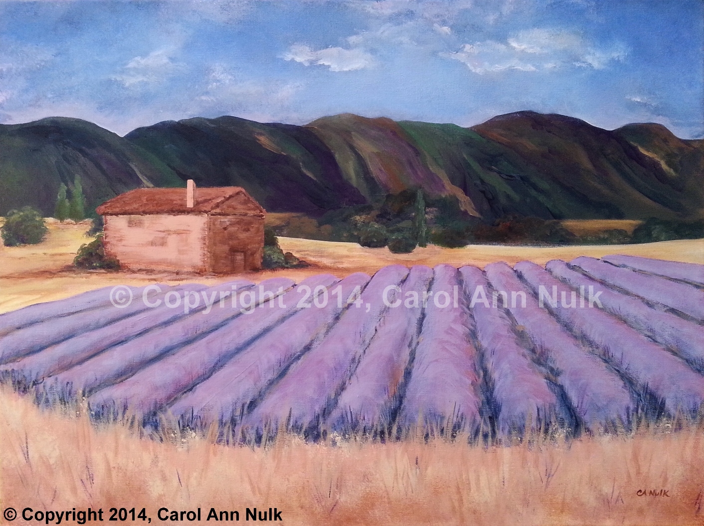 Lavender Fields Artist Carol Ann Nulk at Gioia