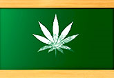 First undergraduate course in Physiology of Cannabis offered this spring at UC Davis. Courses for medical students and the general public are also planned.