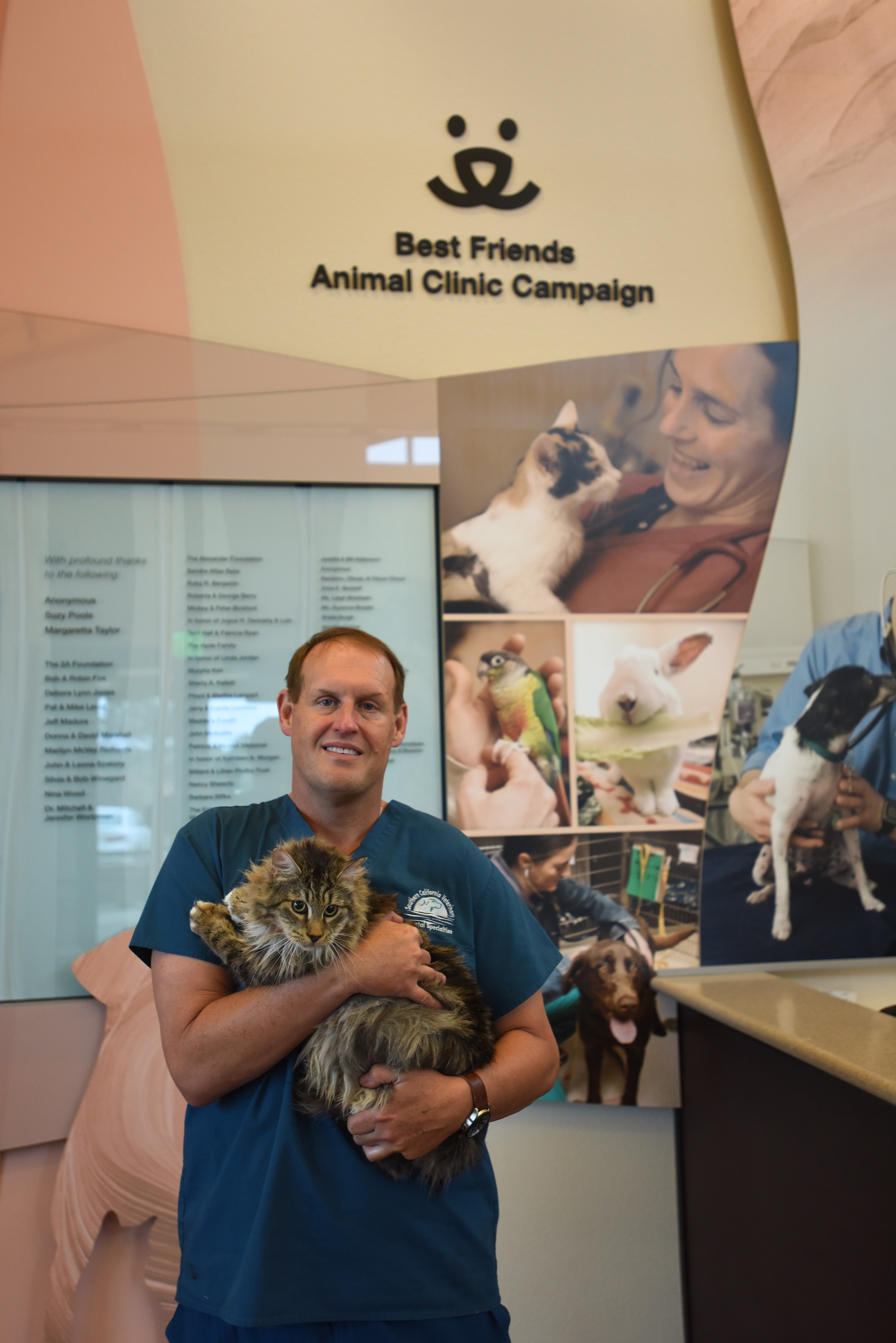 Viggy the cat and Dr. Brook A. Niemiec, DVM of Veterinary Dental Specialties & Oral Surgery. Viggy was one of the 38 animals who recieved dentals.
