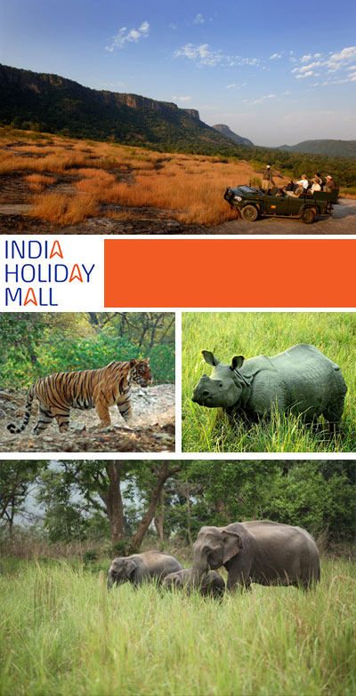 Wildlife Tours India