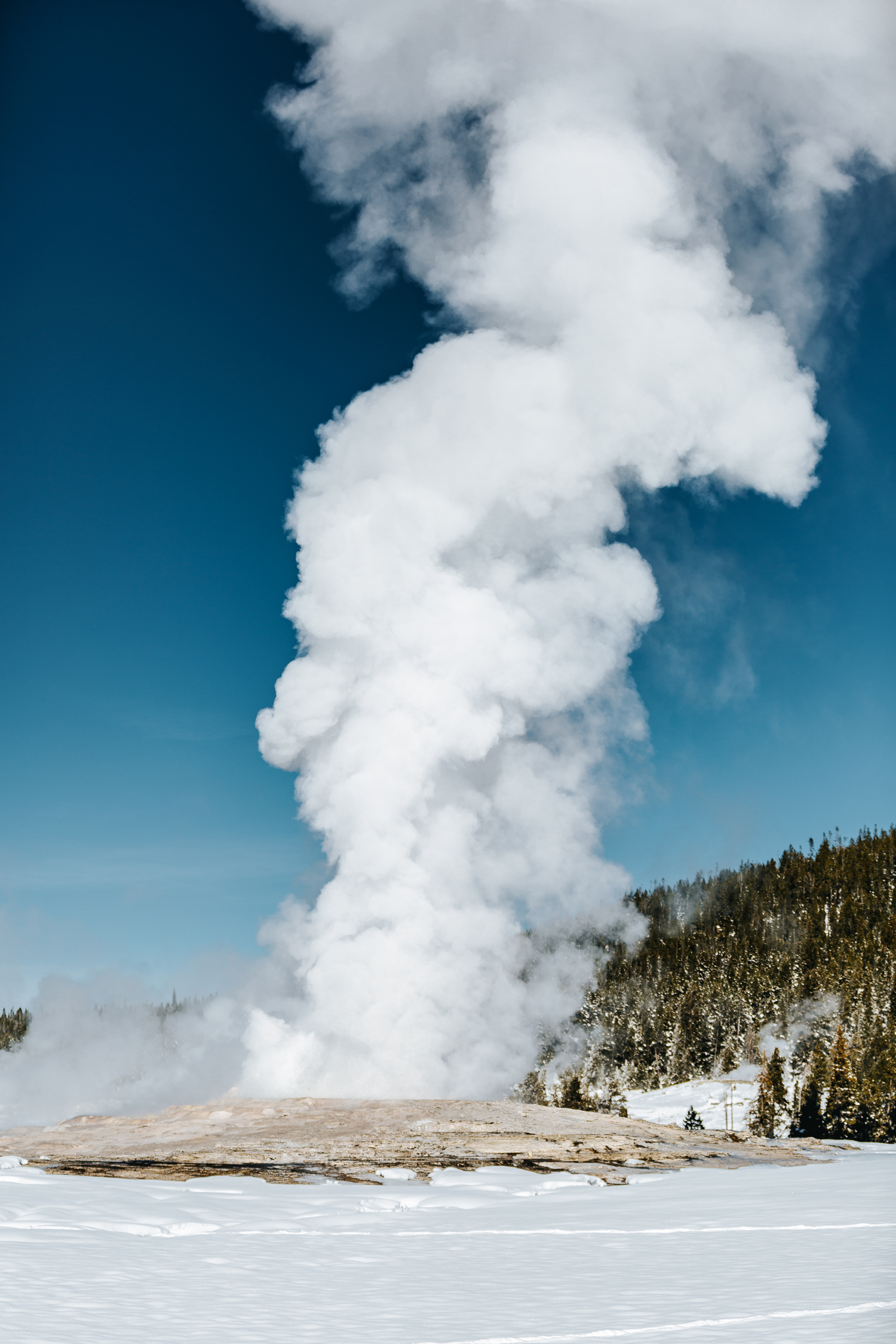 Wildlife Expeditions of Teton Science Schools Old Faithful trips visit Yellowstone's legendary geothermal features in custom snowcoaches and are led by expert guides (photo by Orijin Media).