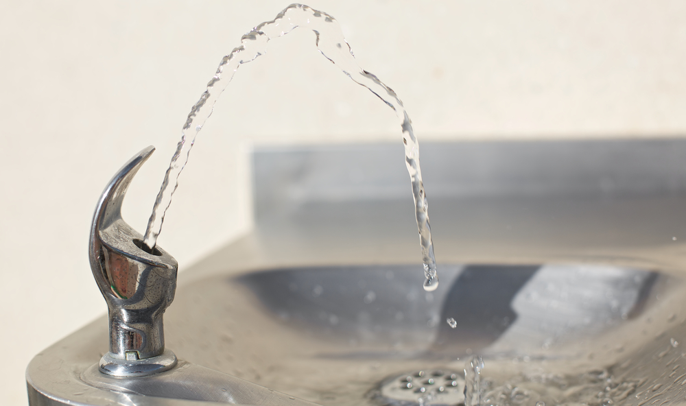 This invention is a device that routinely flushes the water going into the water fountains.