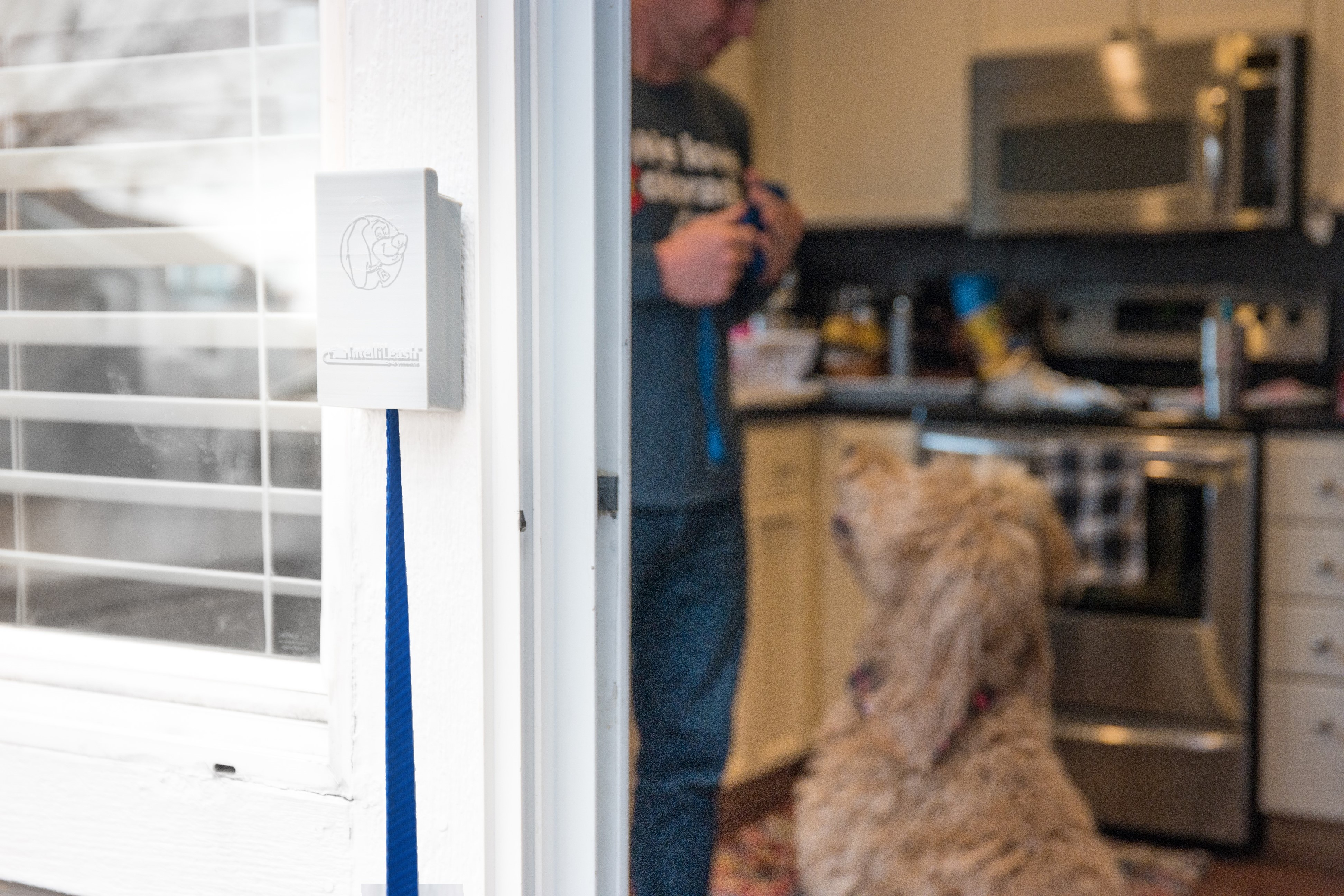 Intelli-Shield looking in kitchen