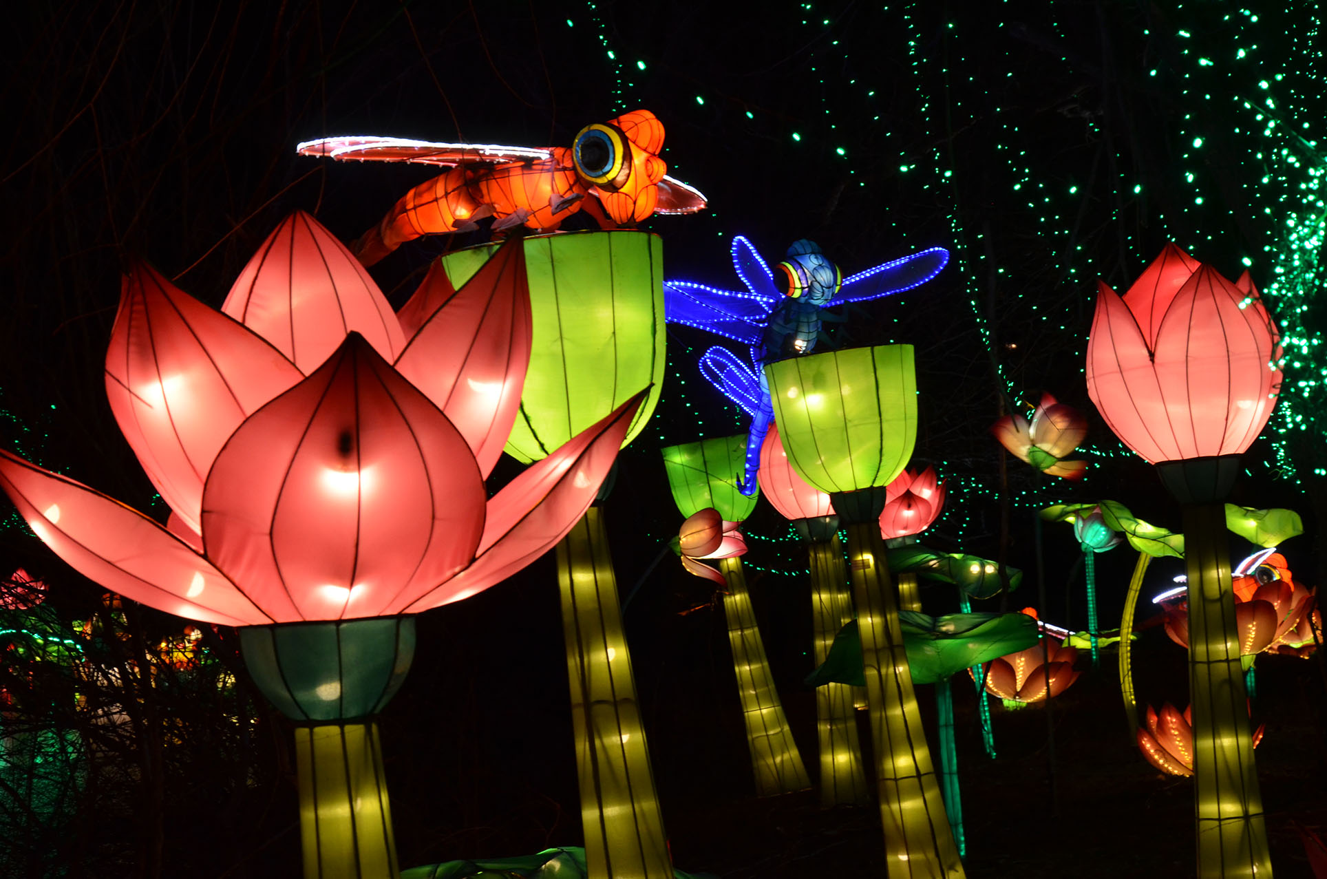 Chinese Lantern Festival’s “The Wild” Exhibit Opens this Weekend with