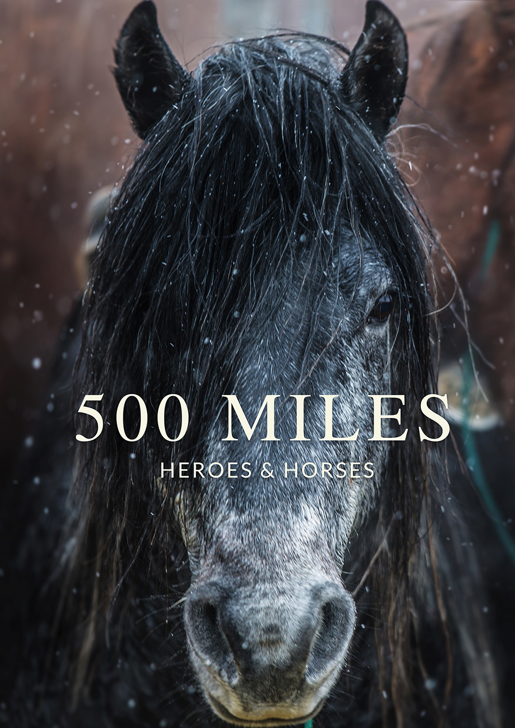 500 Miles Mustang