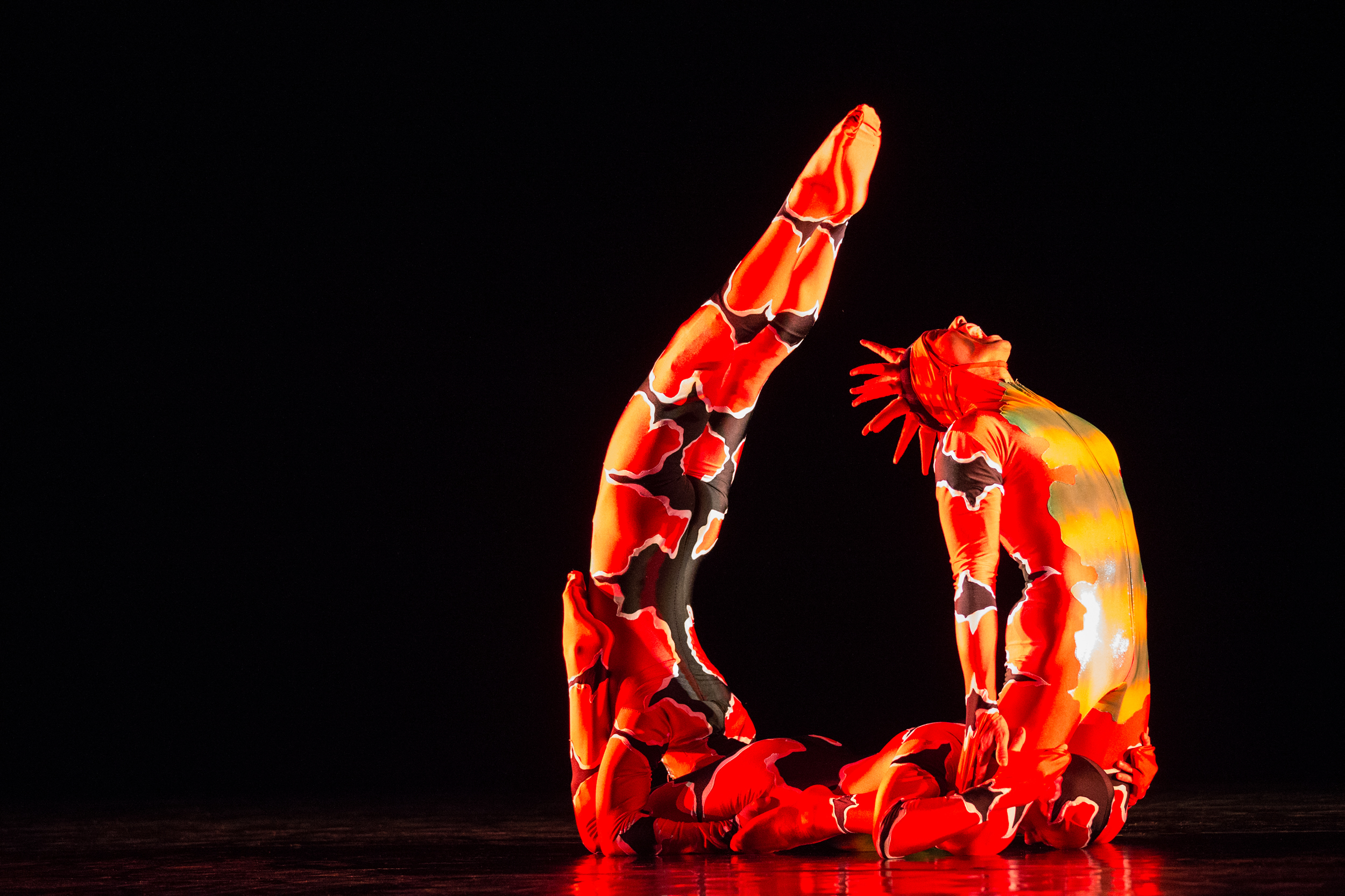 MOMIX: Opus Cactus at SMDCAC on March 18 and 19, 2017