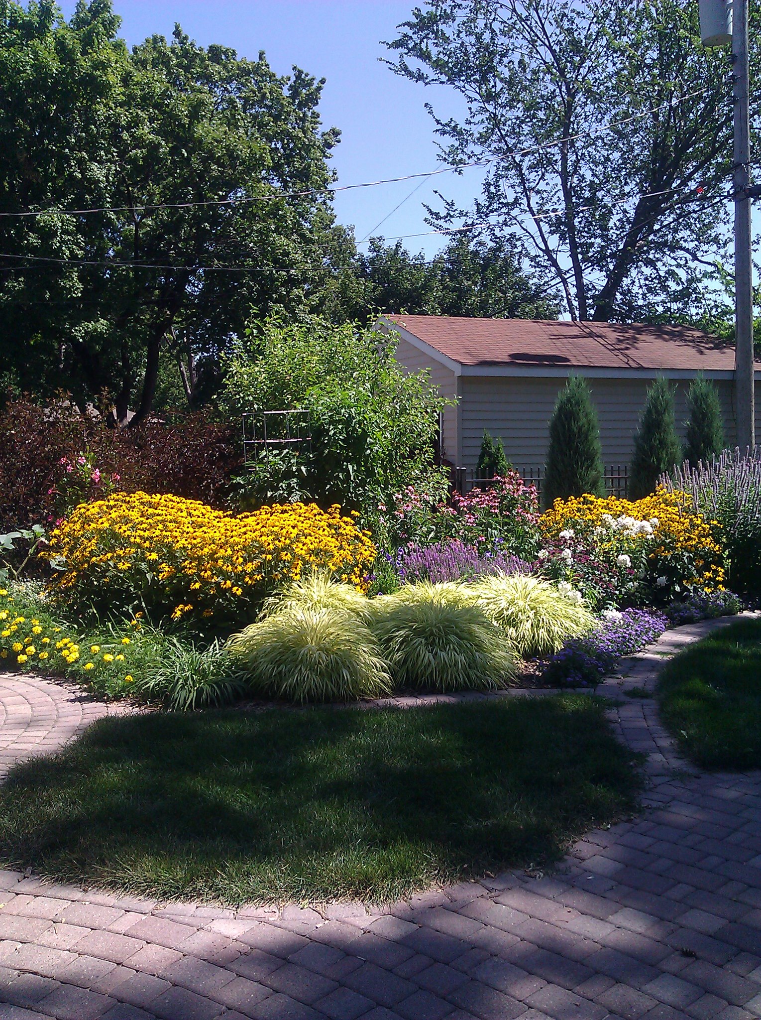 Backyard garden in St Paul MN