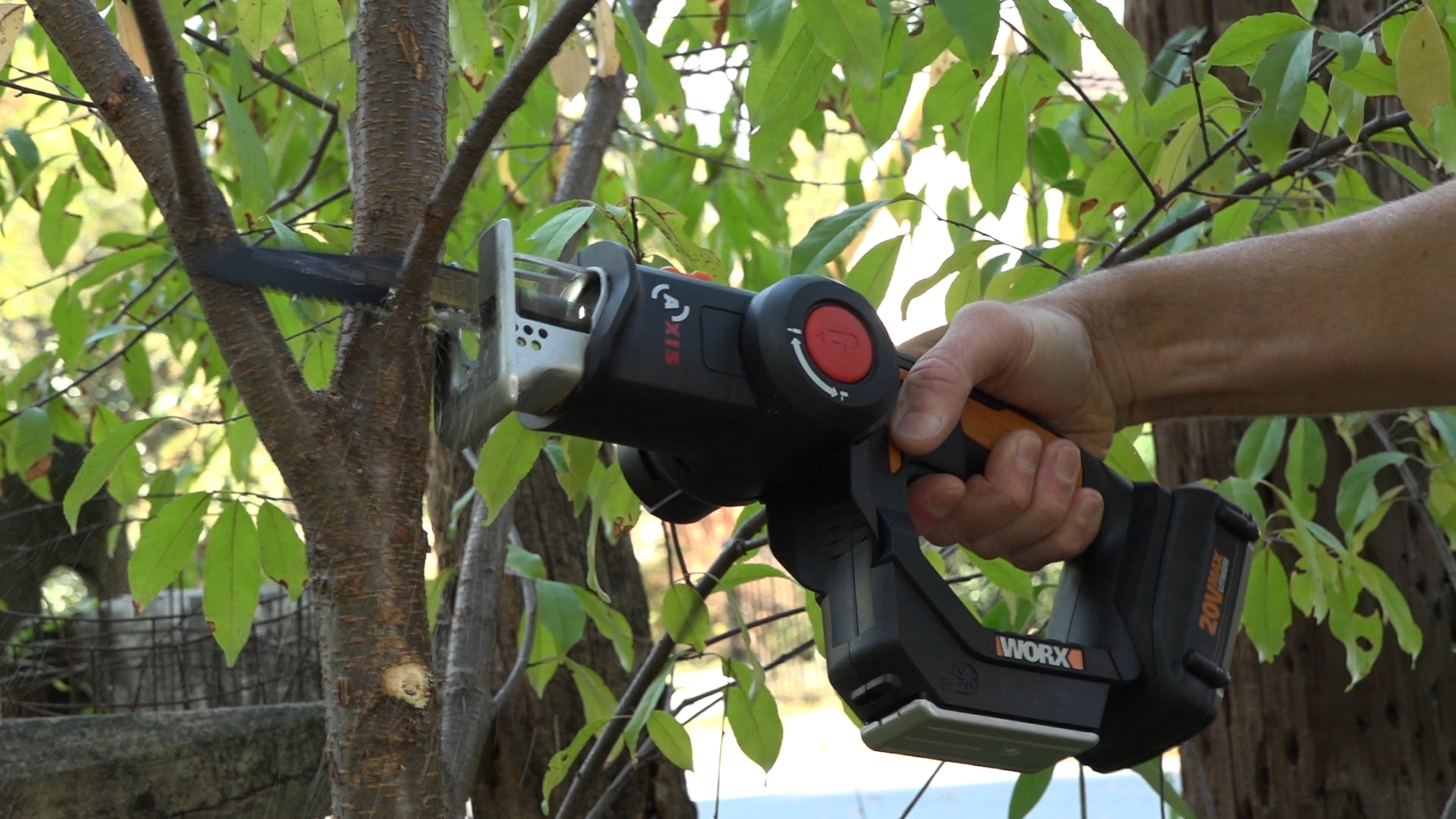 Use WORX Axis for pruning