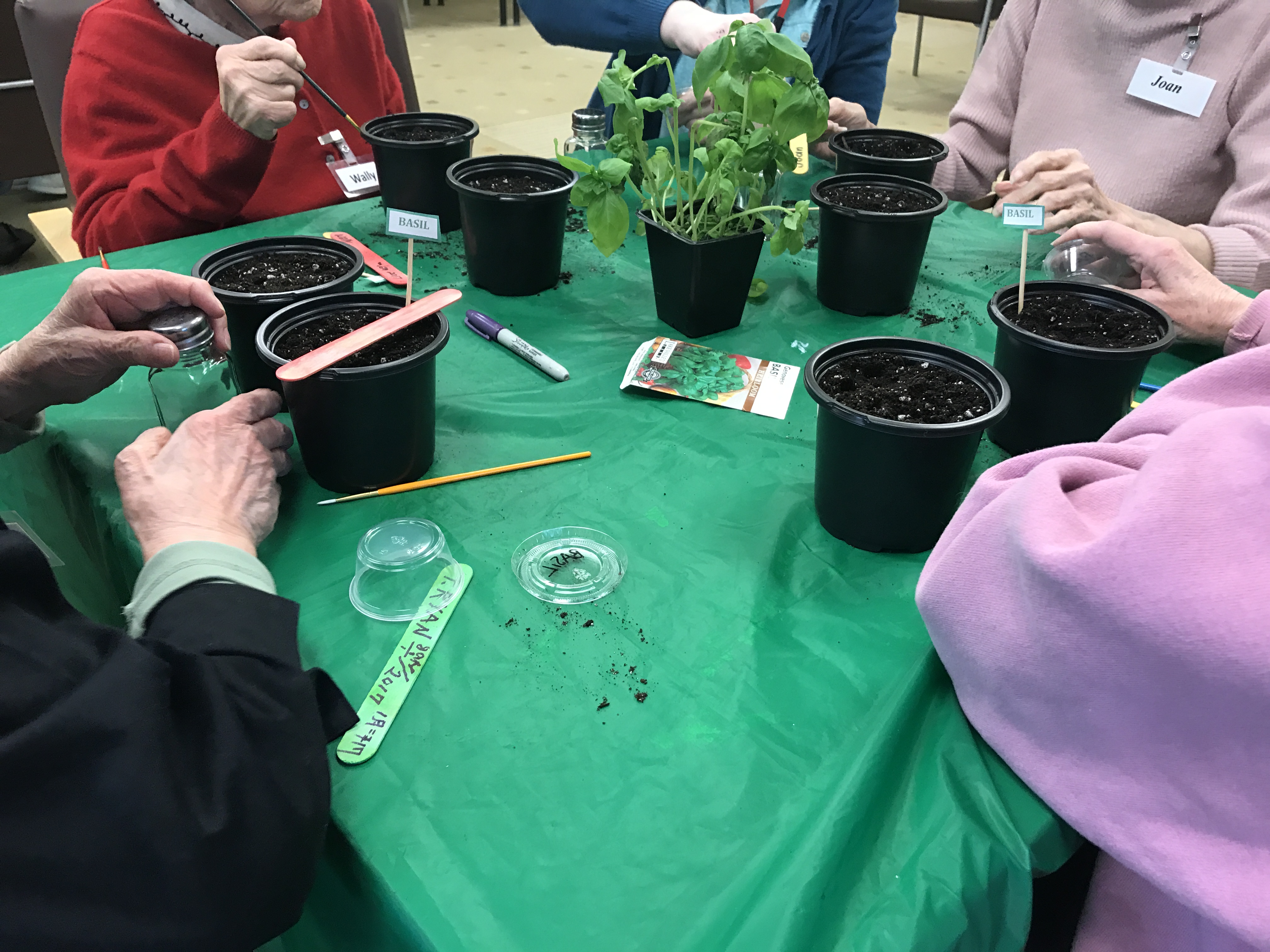 Horticultural therapy program benefits older adults with dementia at the Adult Day Center at Somerset Hills