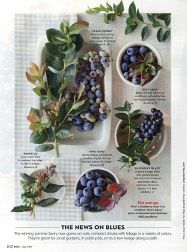 BrazelBerries in Better Homes & Gardens magazine