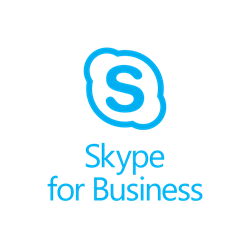 skype logo s huge