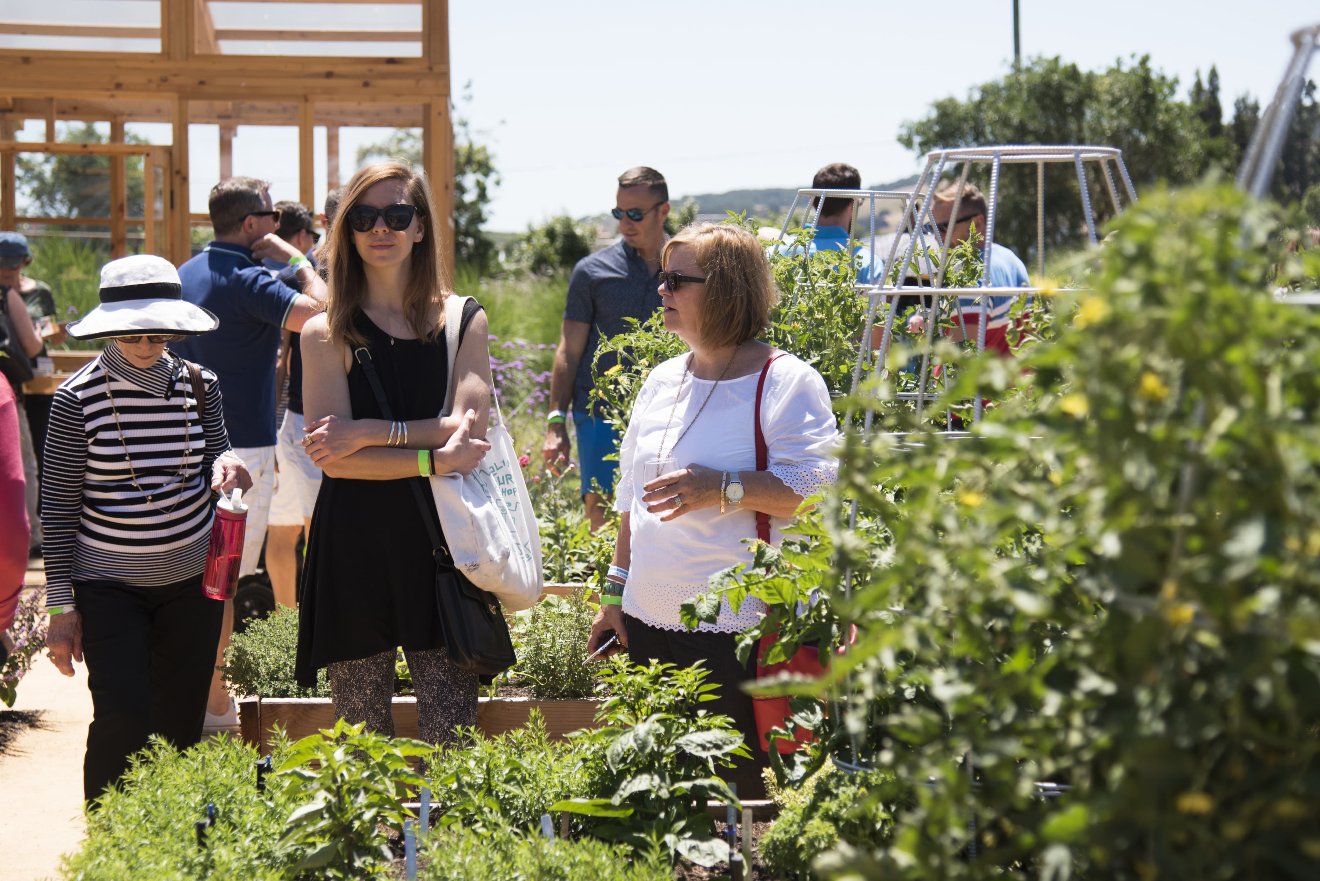 Visitors to Sunset Celebration Weekend tour the Sunset Test Garden at Cornerstone Sonoma.