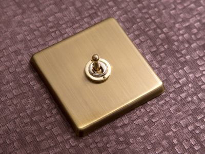 Victorian Antique Brass raised switch-plate with brass dolly switch.