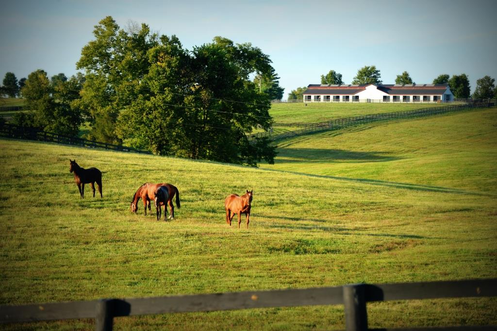The beautiful rolling hills of Taylor Made Farm in Central Kentucky provide a perfect backdrop for a special event.