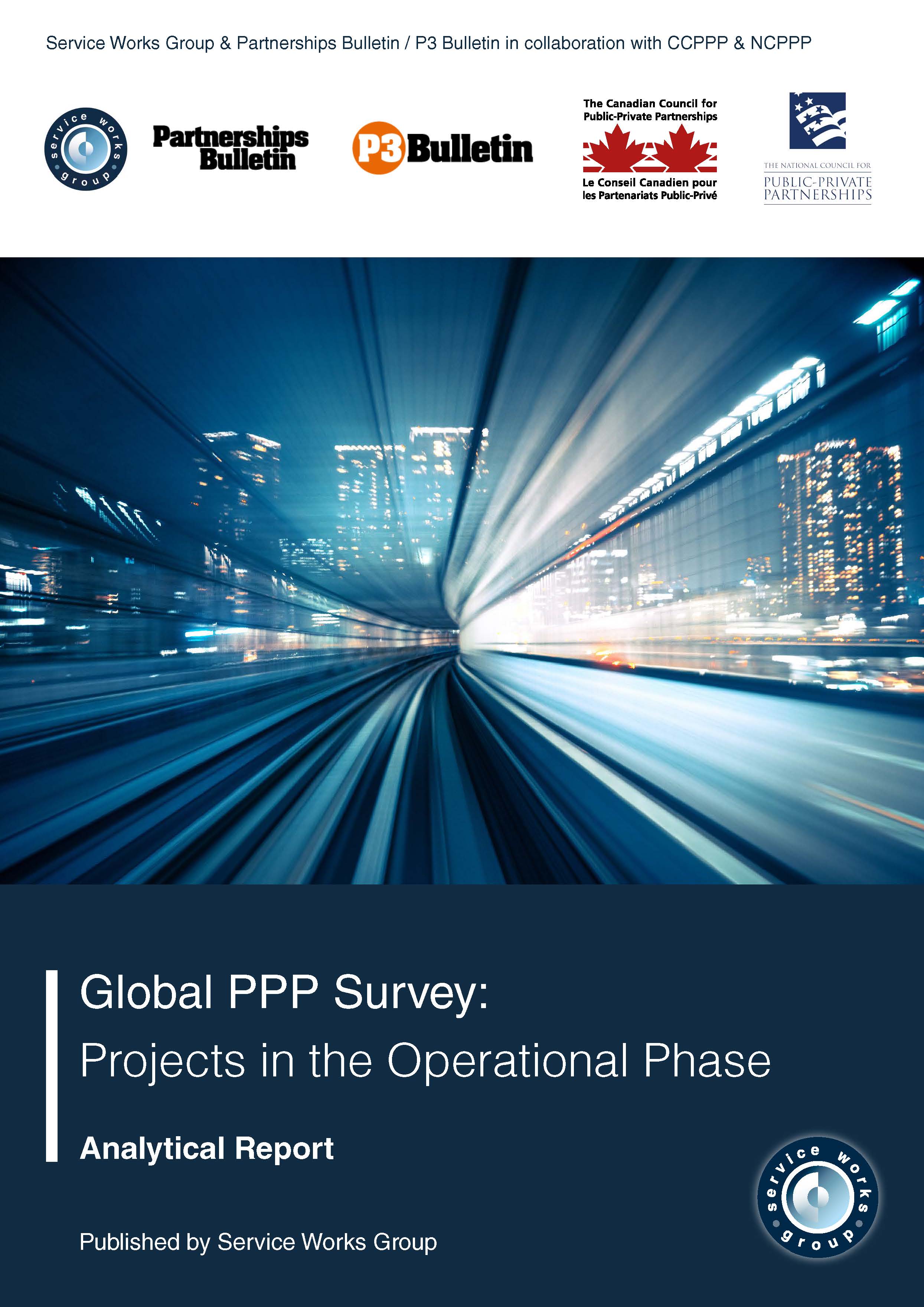 Global PPP Survey 2017 Report