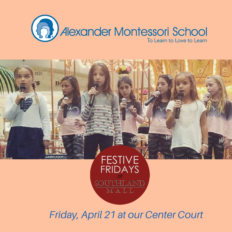 The Alexander Show Choir of Montessori School takes over “Festive Fridays” to show off their talented voices.