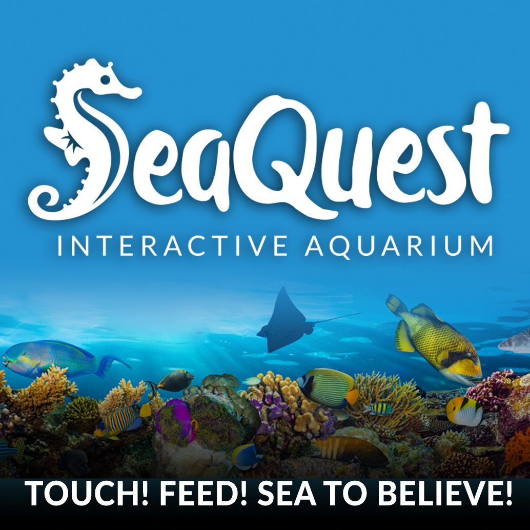 SeaQuest Aquarium Image