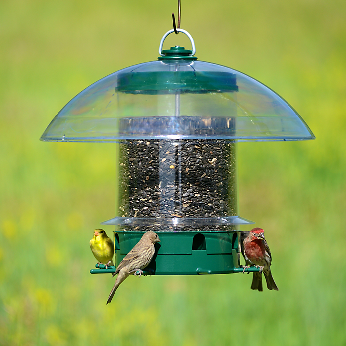 Good design: The K-Feeder Super Carousel has an overhead baffle that protects seed from invading squirrels, while also shielding birds and seed from  inclement weather.