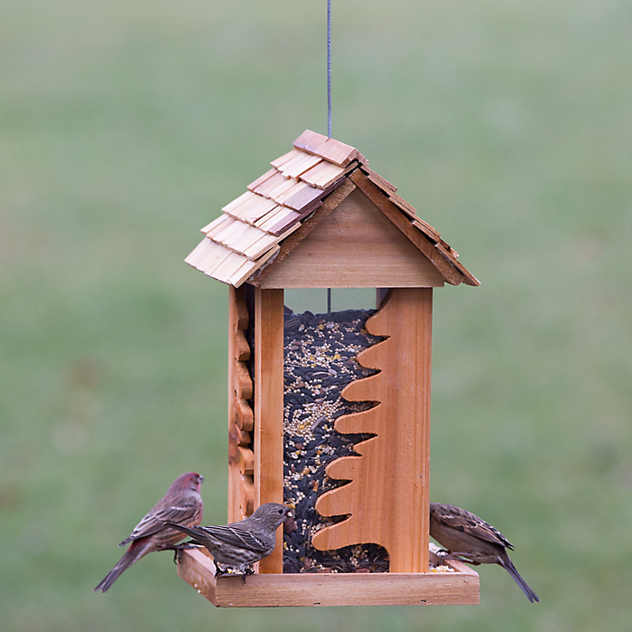 Good design: This Innovative, hand-crafted wooden wild bird feeder is made from non-endangered timber.